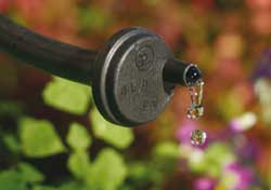 Gotero AGRI-DRIP de caudal fijo en uso